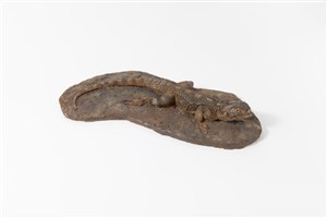 Image description is not available for 2011.11.1